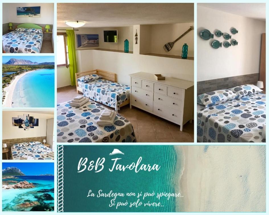 B&B Tavolara Puntaldia Dış mekan fotoğraf